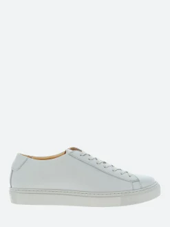 Fashion Brandi Women Sneakers