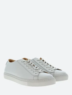 Fashion Brandi Women Sneakers