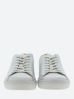 Fashion Brandi Women Sneakers