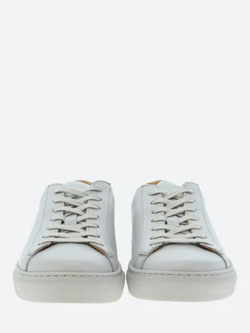 Fashion Brandi Women Sneakers