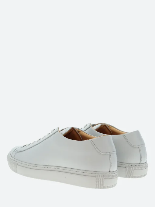 Fashion Brandi Women Sneakers