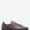 Hot - Bradley in Demitasse Black Sneakers