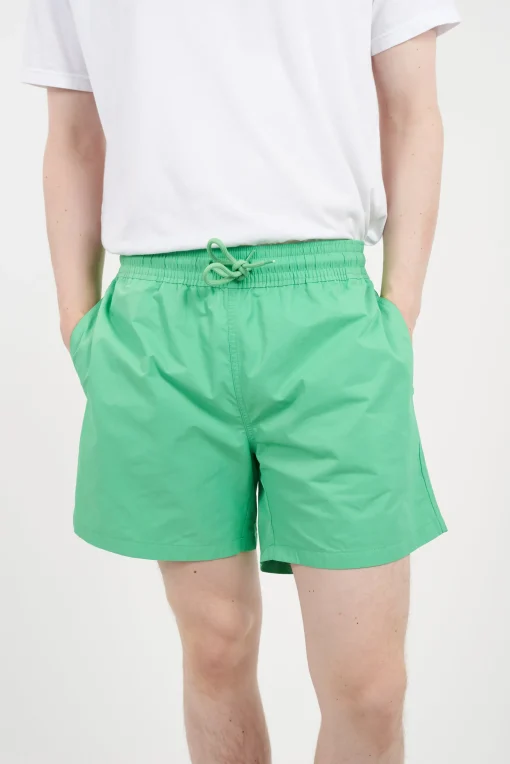 Clearance - Classic Swim Shorts in Spring Green Swimwear