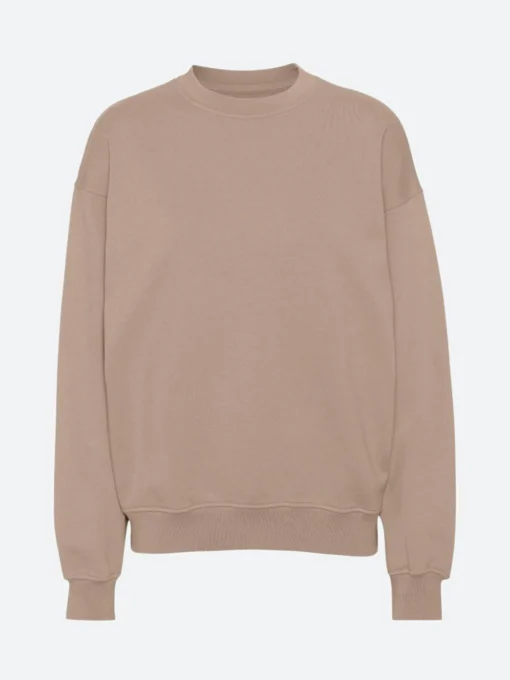 Discount - Oversized Crew in Desert Khaki Women Sweatshirts | Tops & Blouses