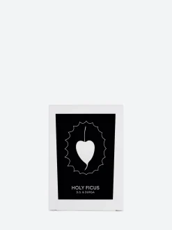 Sale - Holy Ficus Candle Candles & Home Scents