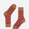 Hot - Sensitive Mapped Line Socks in Toffee and Red Stripe Socks