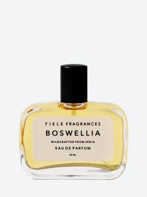 Outlet - Boswellia Fragrances