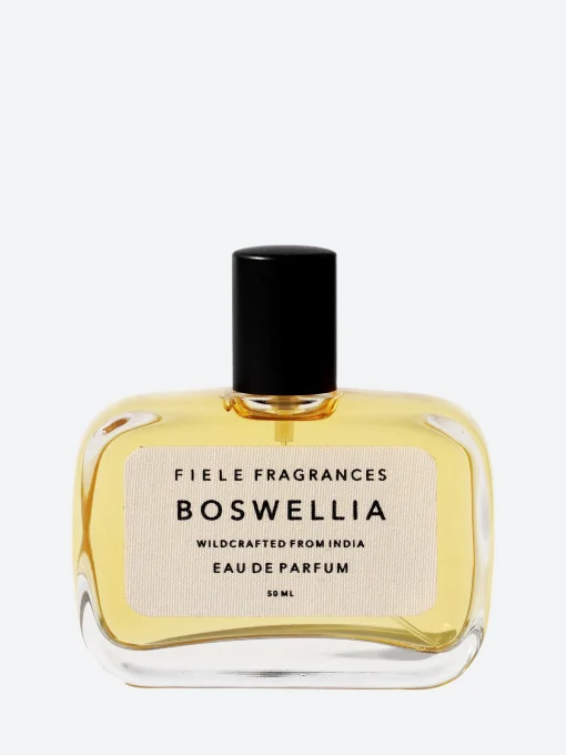 Outlet - Boswellia Fragrances