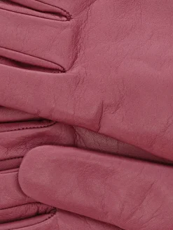 Outlet - 2777 Nappa Short Gloves in Cipolla Women Gloves | Belts