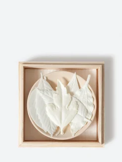 Best - Ha Ko Gift Set Candles & Home Scents