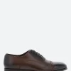 Online - Maltby in Dark Brown Shoes | Lace-Up Shoes