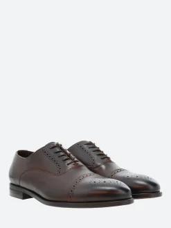 Online - Maltby in Dark Brown Shoes | Lace-Up Shoes