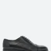 Clearance - Maltby Oxford Brogue in Shoes | Lace-Up Shoes