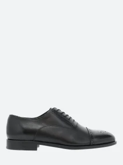 Clearance - Maltby Oxford Brogue in Shoes | Lace-Up Shoes