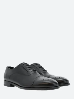 Clearance - Maltby Oxford Brogue in Shoes | Lace-Up Shoes