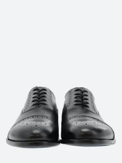 Clearance - Maltby Oxford Brogue in Shoes | Lace-Up Shoes