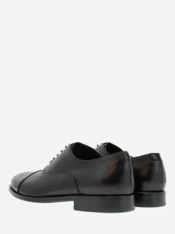 Clearance - Maltby Oxford Brogue in Shoes | Lace-Up Shoes