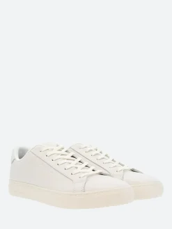 Fashion - PS Rex in Sneakers