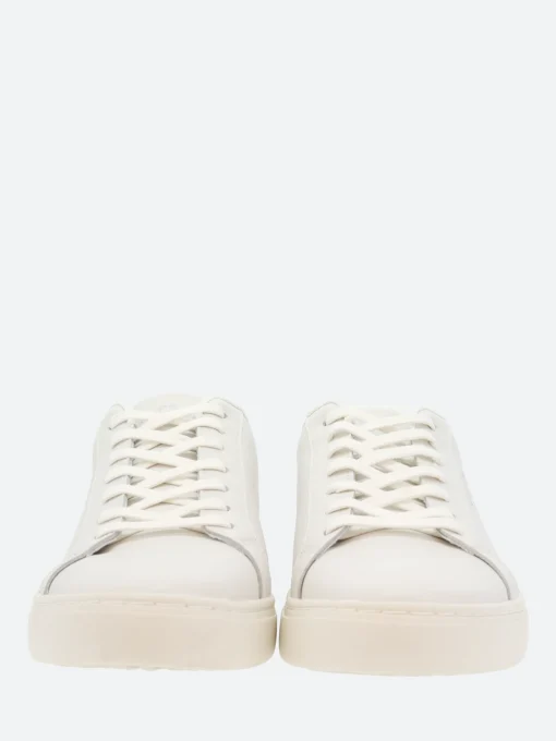 Fashion - PS Rex in Sneakers