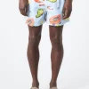 Online - Tropical Fruit Print Long Swim Shorts in Blues Swimwear