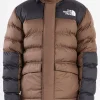 Discount - Limbara Insulated Jacket in Smokey Brown Outerwear