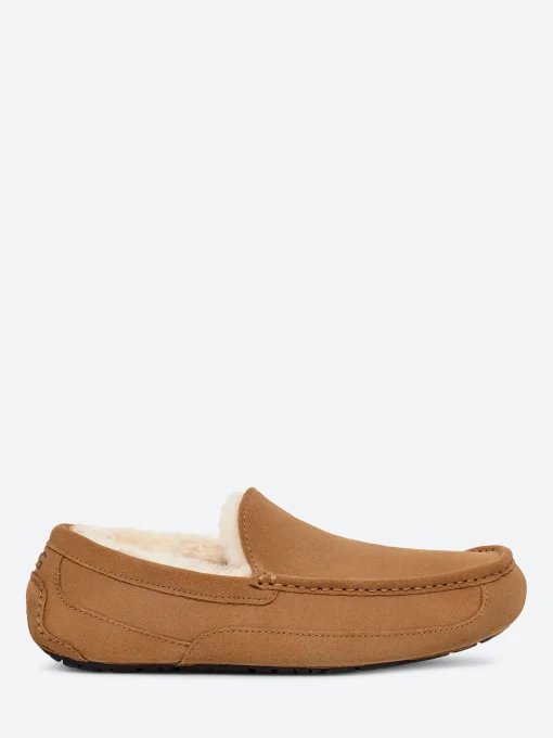 Sale - Ascot Slipper in Slippers