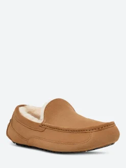 Sale - Ascot Slipper in Slippers