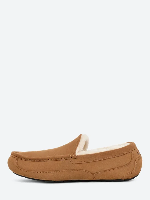 Sale - Ascot Slipper in Slippers