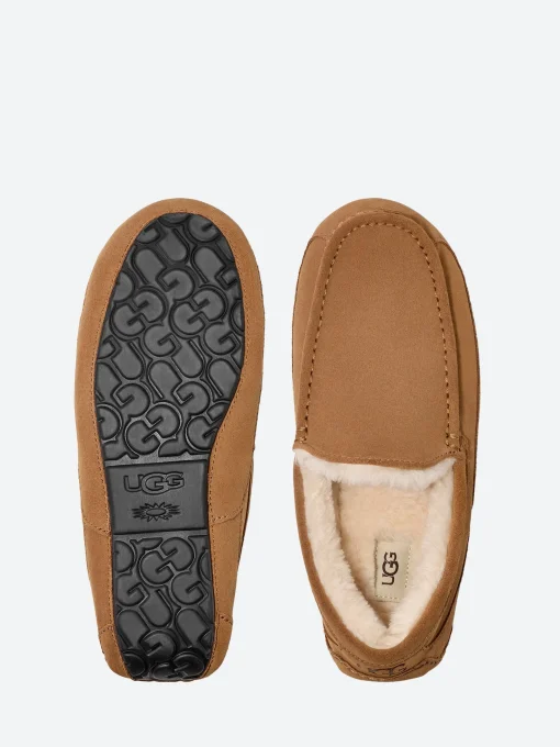 Sale - Ascot Slipper in Slippers