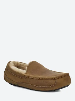 Fashion - Men's Ascot Loafer Slipper in Slippers