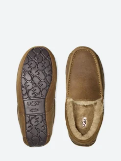 Fashion - Men's Ascot Loafer Slipper in Slippers