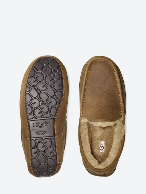 Fashion - Men's Ascot Loafer Slipper in Slippers